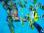 Motu Tetaraire - Snorkeling